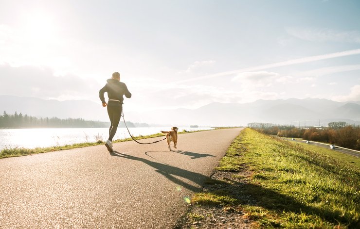 Safety Tips for Running with your Dog