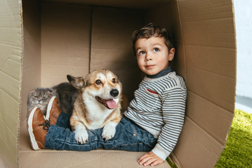 The Benefits of Pets for Neurodivergence