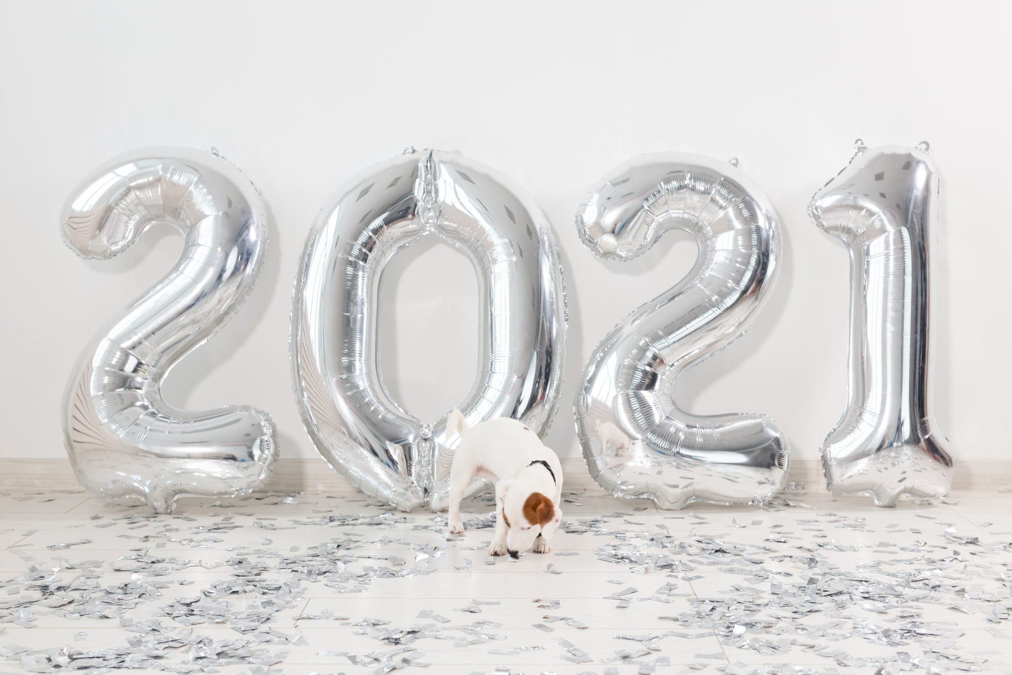 New Year’s Resolutions for You and Your Pet!