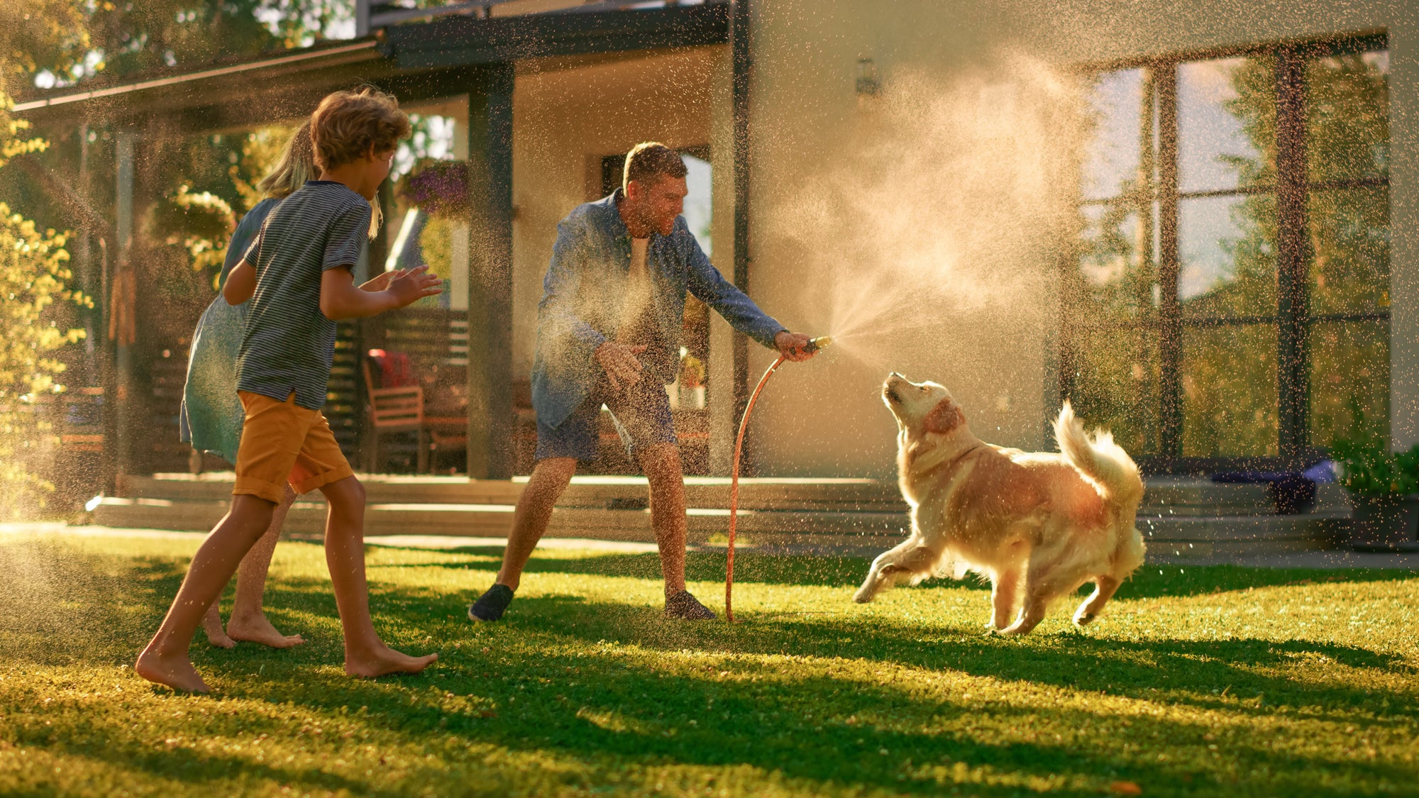 Summertime Fun with Your Pup