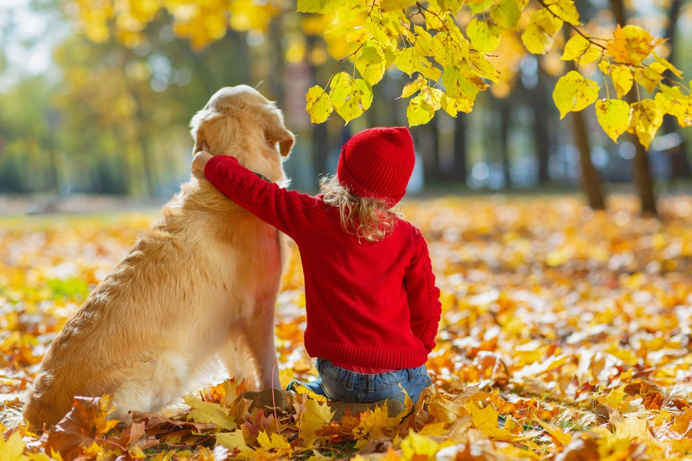 Raising Your Babies - Human and Puppies - Together