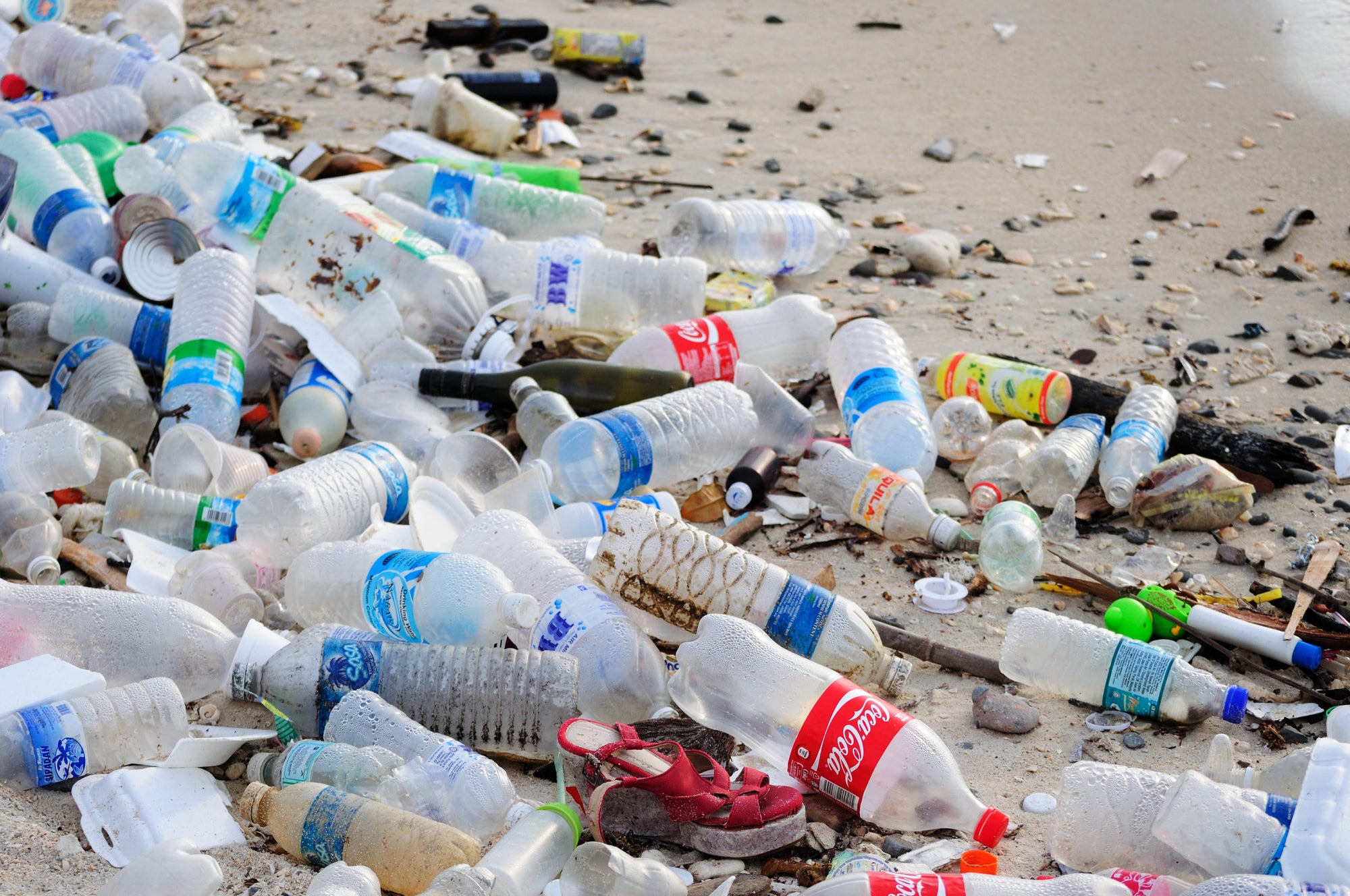 Plastic Free July – A Great Start!