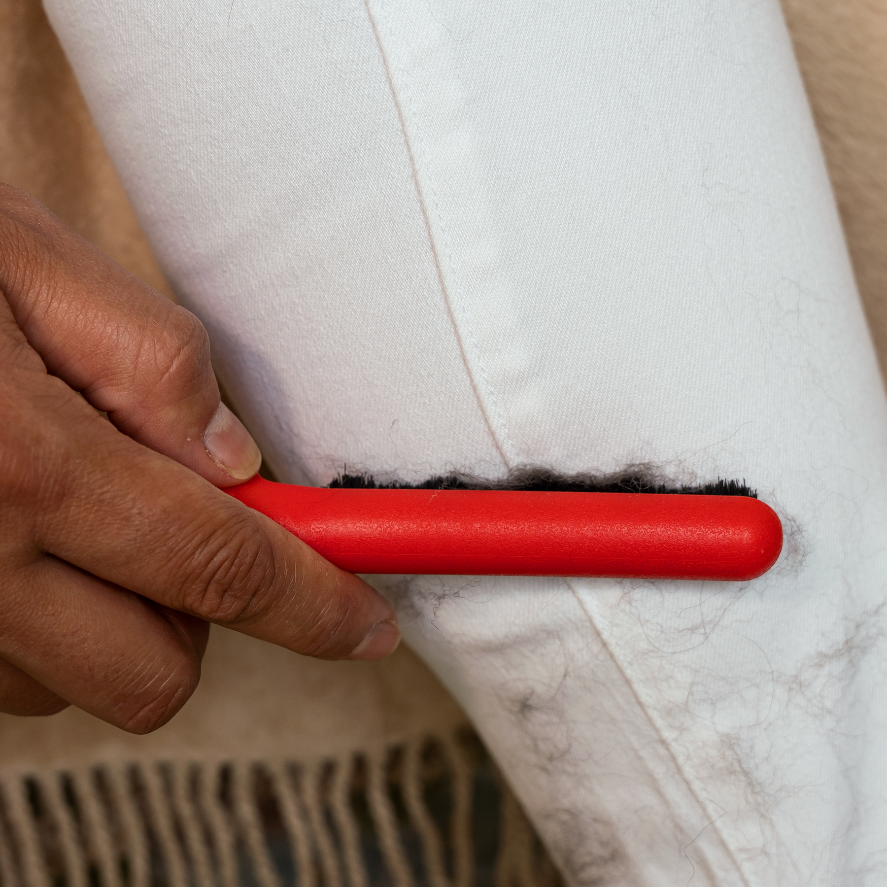 Brush & Cap