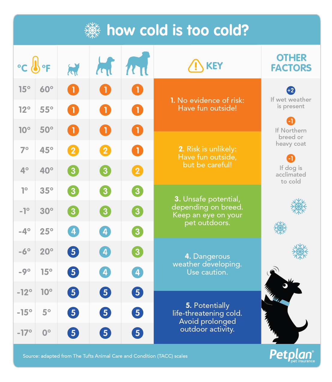 5 Tips To Keep Your Pet Safe In The Cold