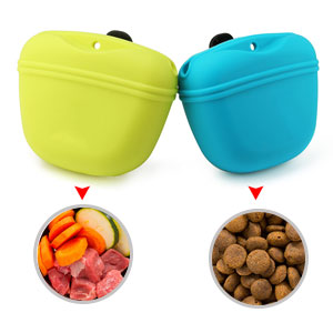 5 Items To Bring While Walking Your Dogs