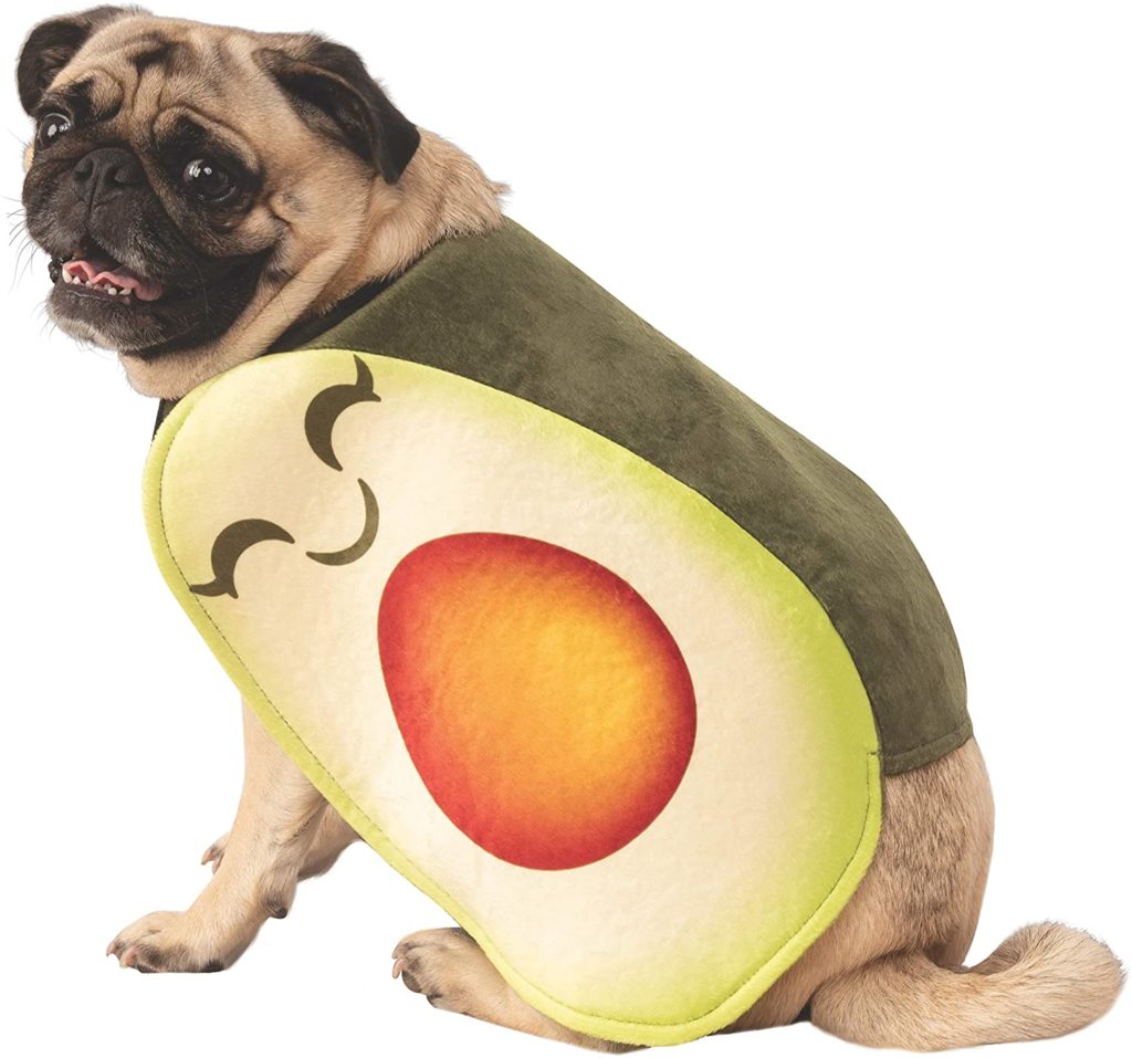 10 Halloween Costumes for your Pet in 2020
