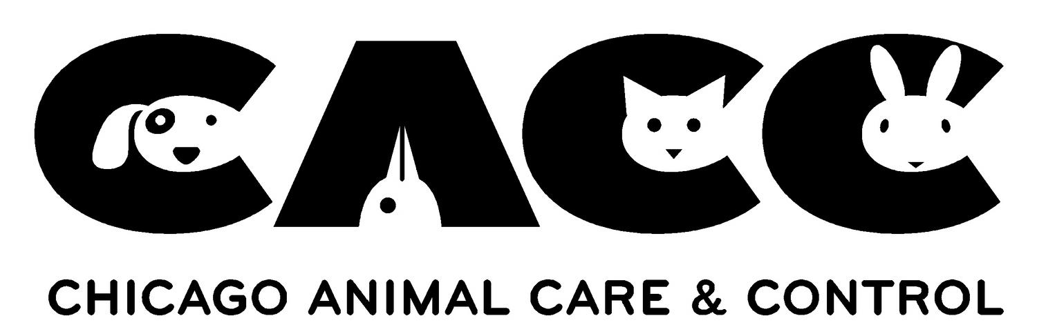 Good News from Chicago Animal Care and Control Adoptable Pets