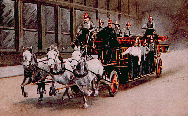 Why are Dalmatians “firedogs?”