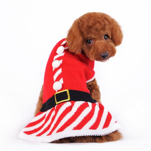 Best Dressed Pets This Holiday Season