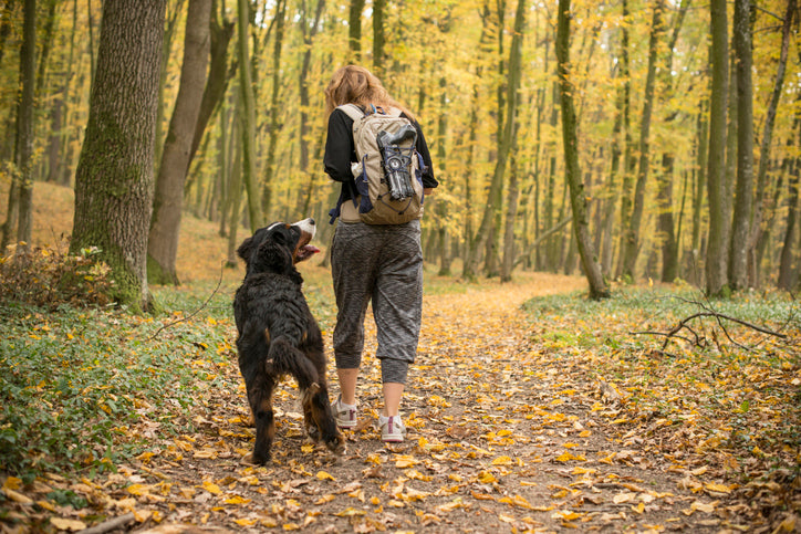 Best Gifts for Outdoorsy Dog Owners