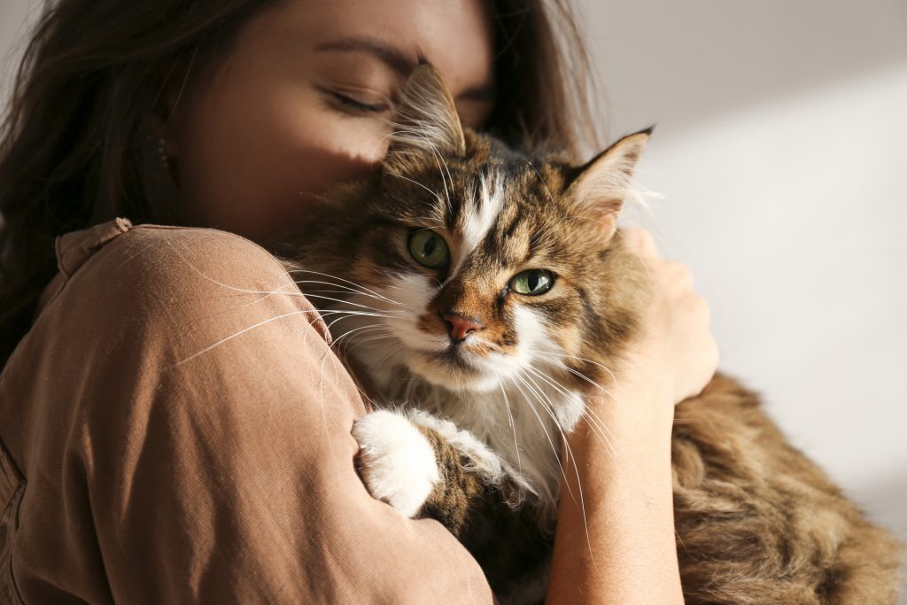Connecting With Your Cat: Family, Furry Friend, or Familiar Face