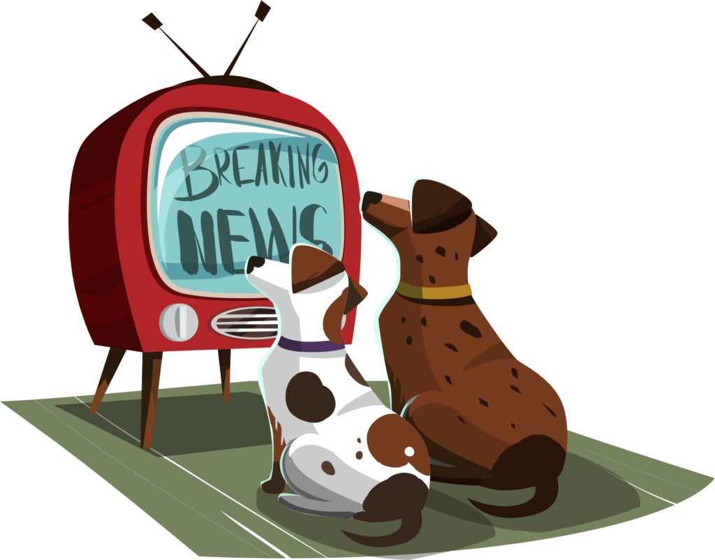 Keeping Your Dog (And Yourself) Sane During Quarantine