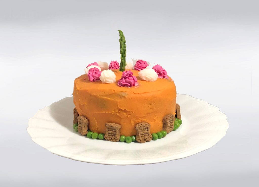 Healthy Dog-Friendly Birthday Cake!