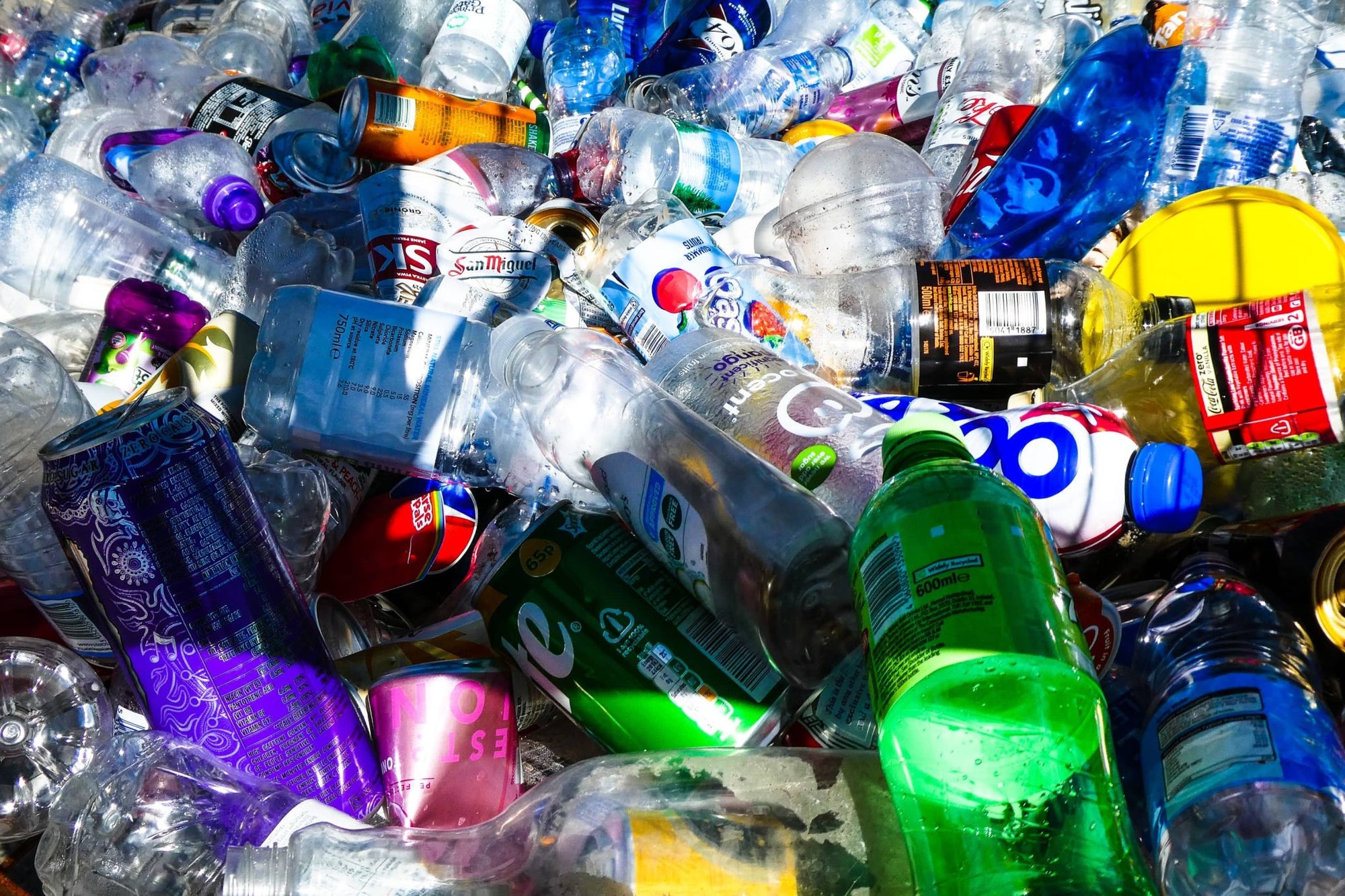 The Dos and Don’ts to Recycling in Denver, Colorado