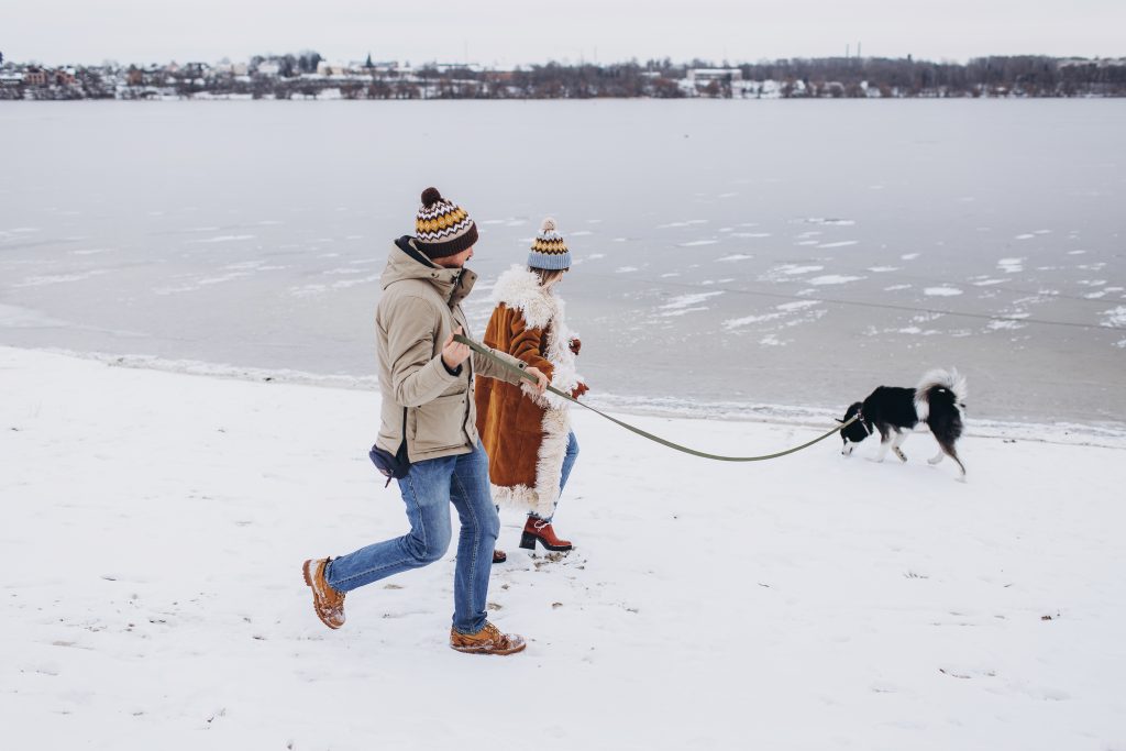 Don’t Jump Into Icy Waters to Save Your Dog: Do this Instead