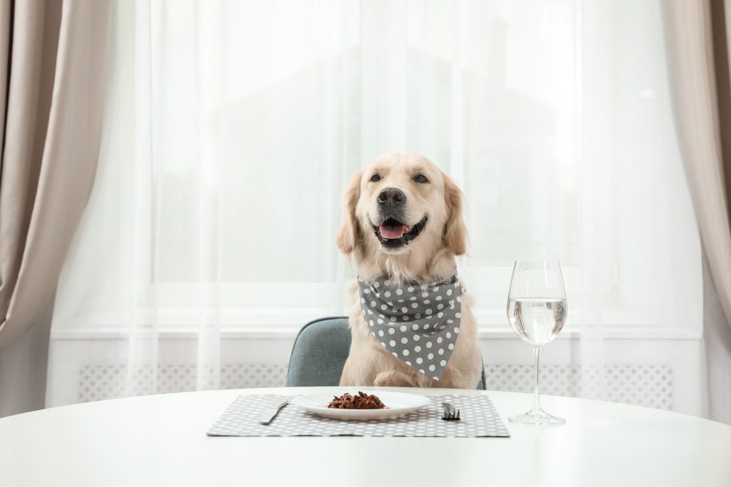 Which “human” foods are safe/not safe to feed your pets?