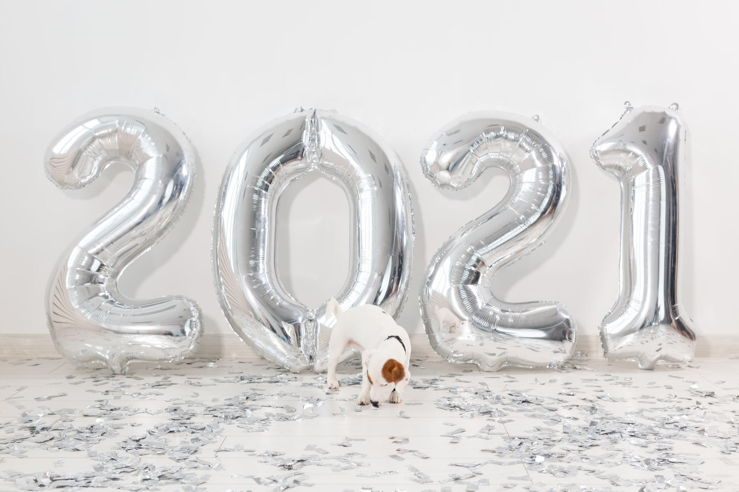 New Year’s Resolutions for You and Your Pet!