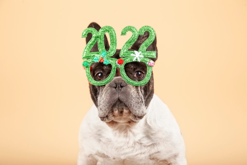 7 New Year’s Resolutions for You and Your Pet!