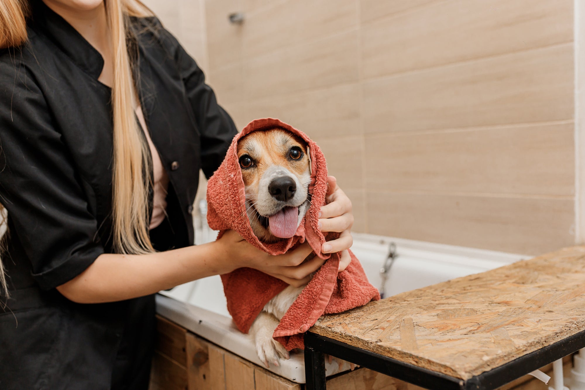Why Regular Grooming Matters