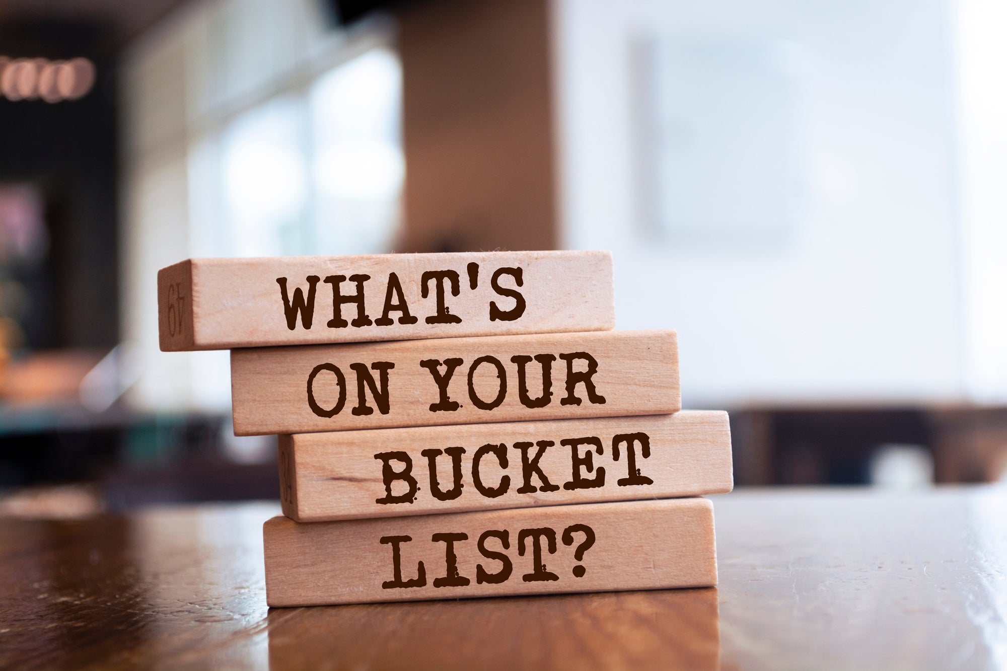 Bucket List with Your Dog