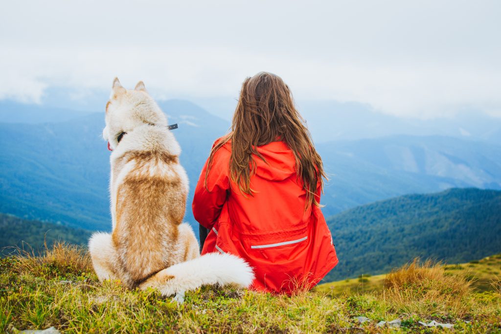 8 Safety Tips for Hiking with Your Dog