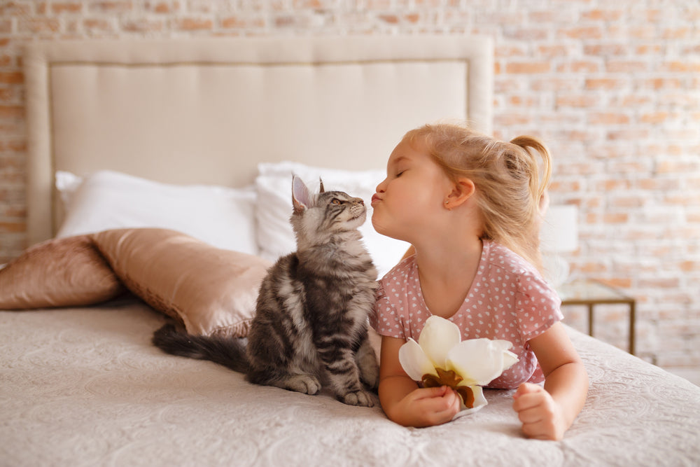 Kittens and Kids: Cohabitating Considerations