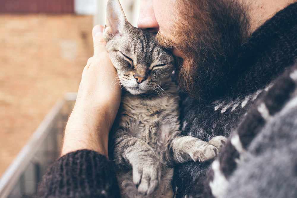 Gift Ideas for Cat Lovers