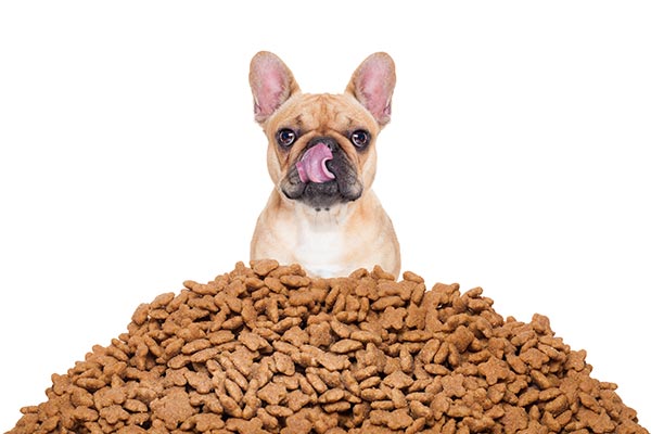 3 Fun and Healthy Homemade Dog Treat Recipes