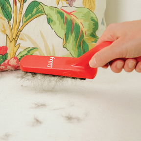 Brush